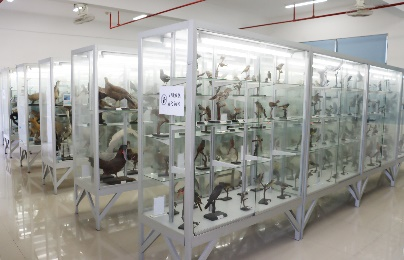 williamhill威廉希尔官网