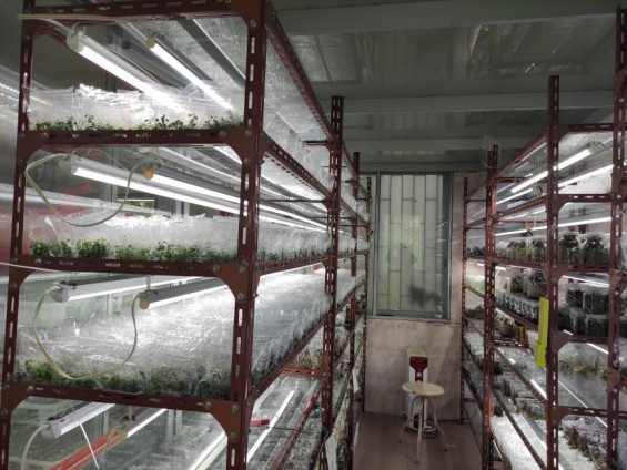 williamhill威廉希尔官网